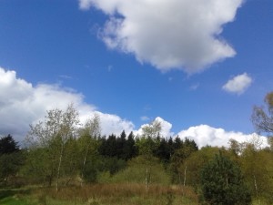 Hollandse luchten