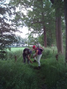 Effe helpen