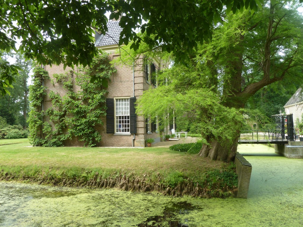 Zijgevel met Moerbei