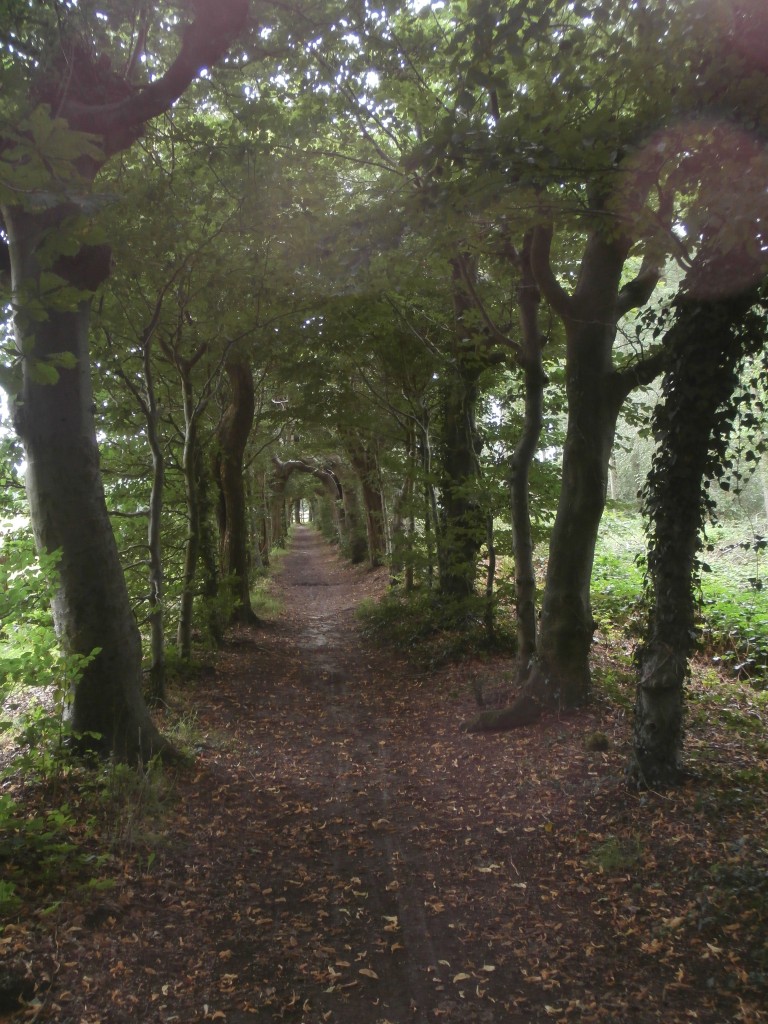 Berceau op Den Aalderdinck